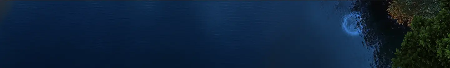 about-mycapssa-desktop