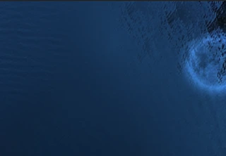 about-mycapssa-mobile